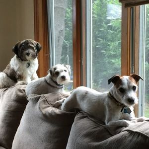 Meet your Posher, Tara